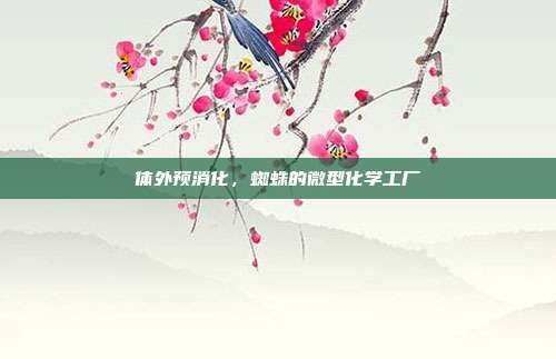 体外预消化，蜘蛛的微型化学工厂