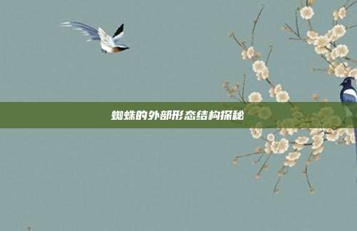 蜘蛛的外部形态结构探秘