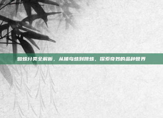 蜘蛛分类全解析，从捕鸟蛛到跳蛛，探索奇妙的品种世界
