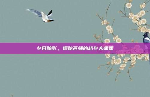 冬日暗影，揭秘苍蝇的越冬大师课