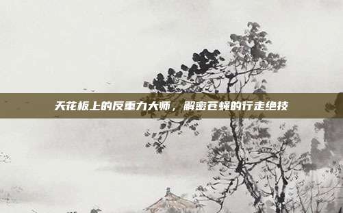天花板上的反重力大师，解密苍蝇的行走绝技