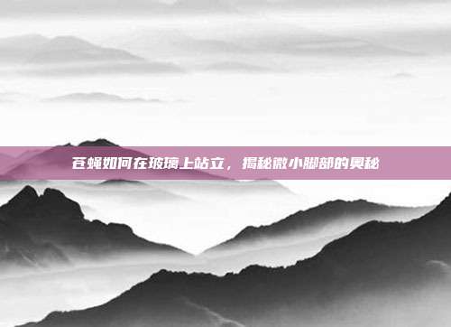 苍蝇如何在玻璃上站立，揭秘微小脚部的奥秘