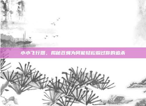 小小飞行器，揭秘苍蝇为何能轻松躲过你的追杀