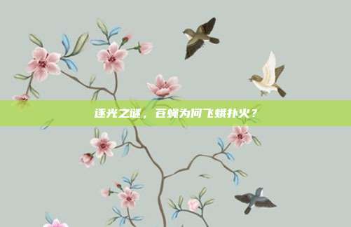 逐光之谜，苍蝇为何飞蛾扑火？