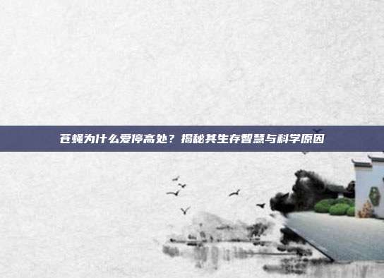 苍蝇为什么爱停高处？揭秘其生存智慧与科学原因