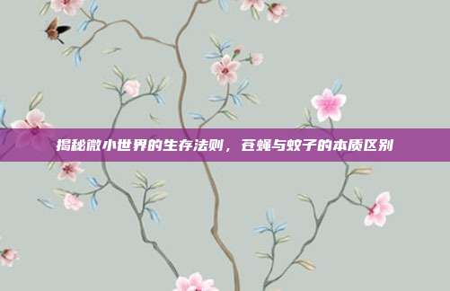 揭秘微小世界的生存法则，苍蝇与蚊子的本质区别