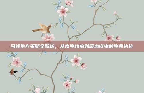 马蝇生存策略全解析，从寄生幼虫到吸血成虫的生命轨迹