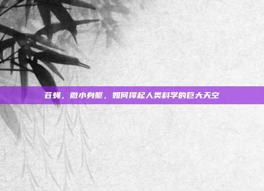 苍蝇，微小身躯，如何撑起人类科学的巨大天空