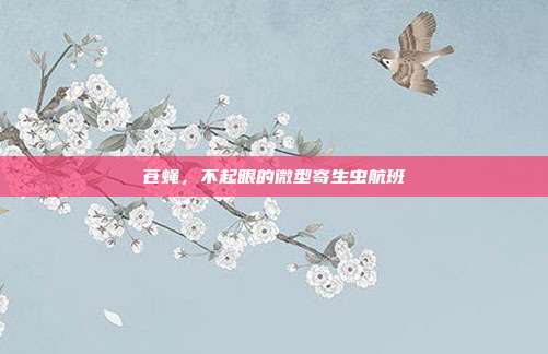 苍蝇，不起眼的微型寄生虫航班