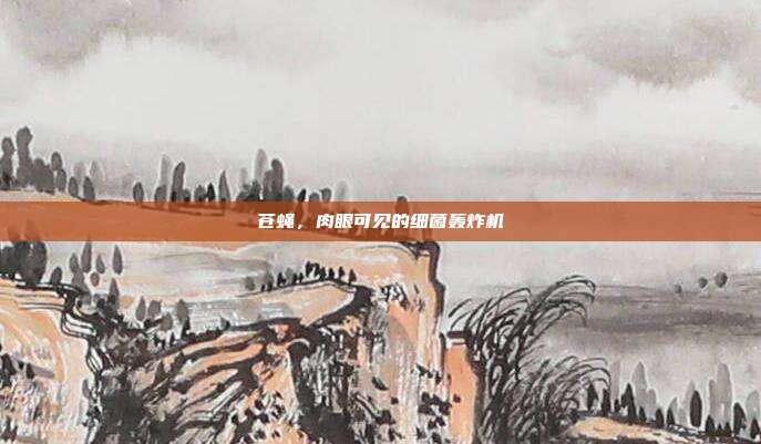 苍蝇，肉眼可见的细菌轰炸机