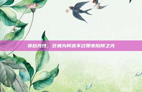 负趋光性，苍蝇为何逃不过那束陷阱之光