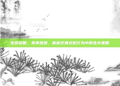 生命短暂，竞争激烈，解密苍蝇交配行为中的生存策略