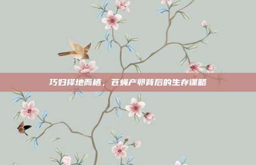 巧妇择地而栖，苍蝇产卵背后的生存谋略
