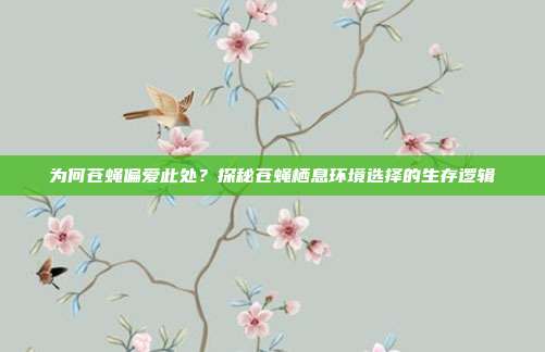 为何苍蝇偏爱此处？探秘苍蝇栖息环境选择的生存逻辑