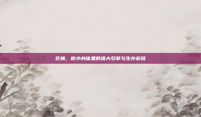 苍蝇，微小身体里的强大引擎与生存密码