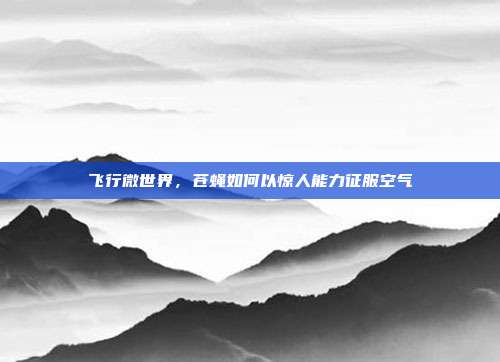 飞行微世界，苍蝇如何以惊人能力征服空气