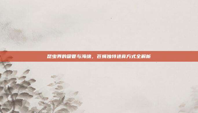 昆虫界的吸管与海绵，苍蝇独特进食方式全解析