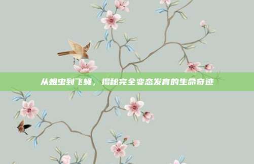 从蛆虫到飞蝇，揭秘完全变态发育的生命奇迹