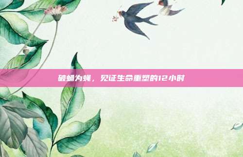 破蛹为蝇，见证生命重塑的12小时