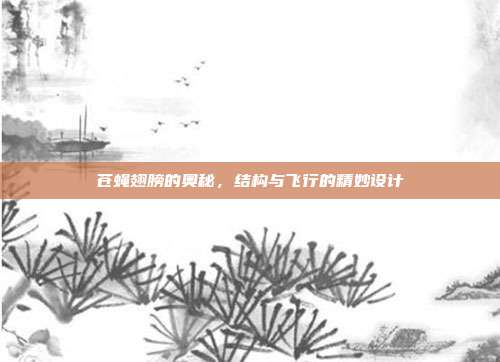 苍蝇翅膀的奥秘，结构与飞行的精妙设计