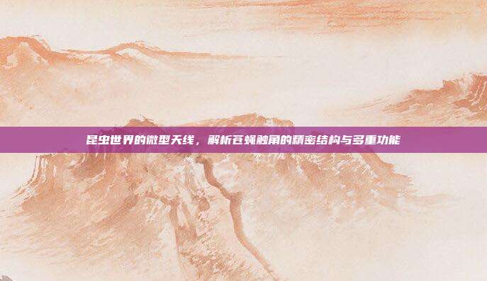 昆虫世界的微型天线，解析苍蝇触角的精密结构与多重功能