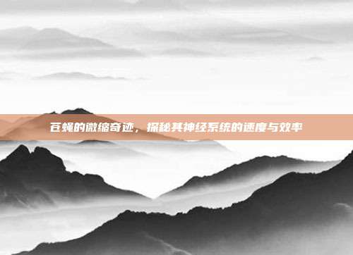 苍蝇的微缩奇迹，探秘其神经系统的速度与效率