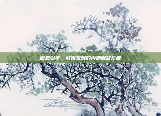 微观引擎，解析家蝇的内部器官系统