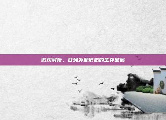 微观解析，苍蝇外部形态的生存密码