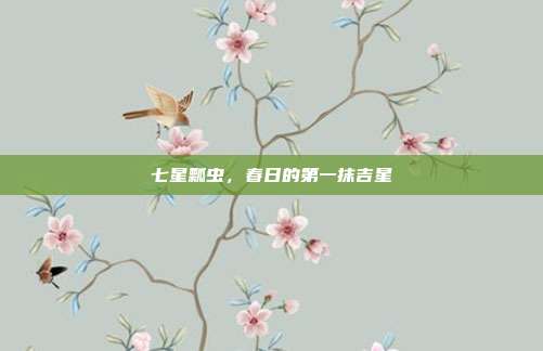 七星瓢虫，春日的第一抹吉星
