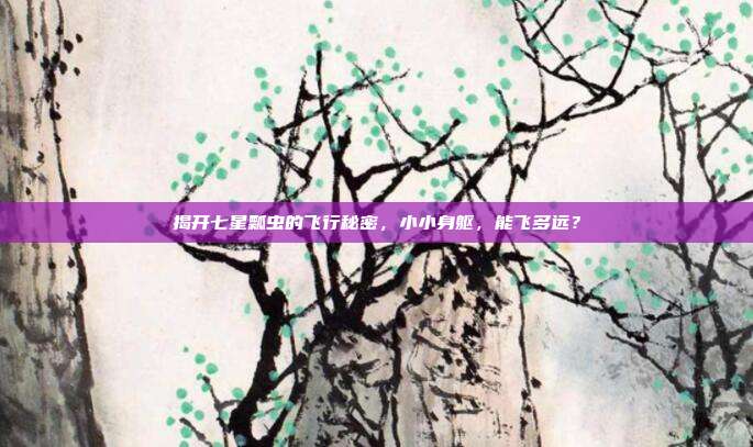 揭开七星瓢虫的飞行秘密，小小身躯，能飞多远？