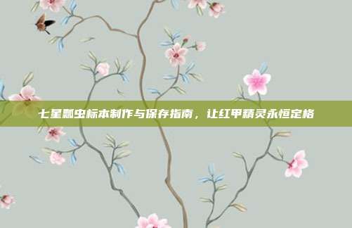 七星瓢虫标本制作与保存指南，让红甲精灵永恒定格