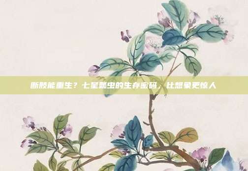 断肢能重生？七星瓢虫的生存密码，比想象更惊人