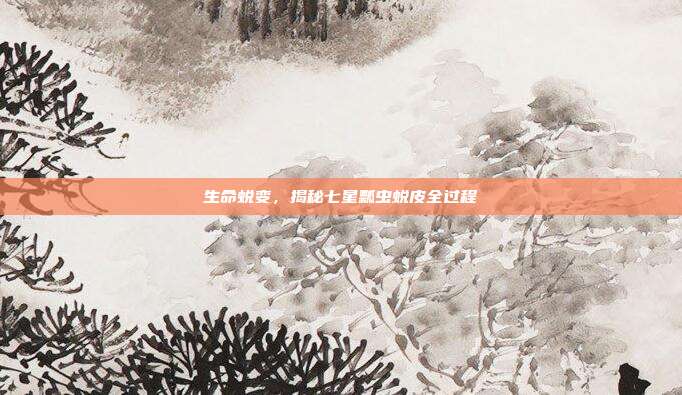 生命蜕变，揭秘七星瓢虫蜕皮全过程