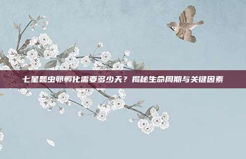 七星瓢虫卵孵化需要多少天？揭秘生命周期与关键因素