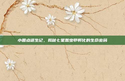 小圆点诞生记，揭秘七星瓢虫卵孵化的生命密码