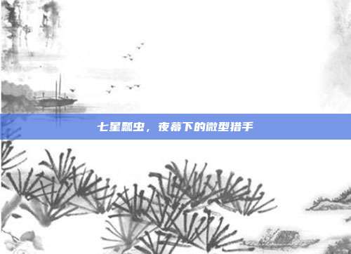 七星瓢虫，夜幕下的微型猎手
