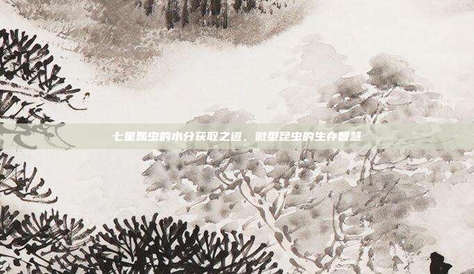 七星瓢虫的水分获取之道，微型昆虫的生存智慧