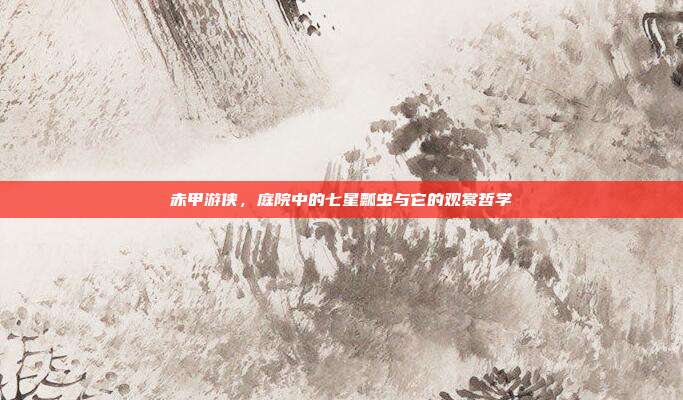 赤甲游侠，庭院中的七星瓢虫与它的观赏哲学