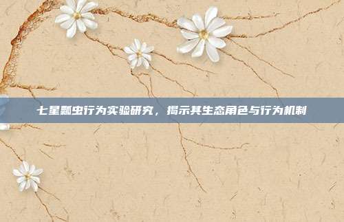 七星瓢虫行为实验研究，揭示其生态角色与行为机制