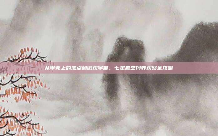从甲壳上的黑点到微观宇宙，七星瓢虫饲养观察全攻略