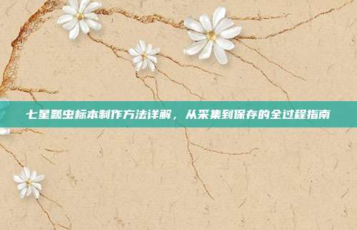 七星瓢虫标本制作方法详解，从采集到保存的全过程指南