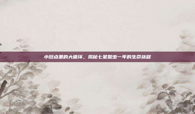 小斑点里的大循环，揭秘七星瓢虫一年的生命旅程