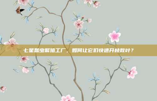 七星瓢虫繁殖工厂，如何让它们快速开枝散叶？