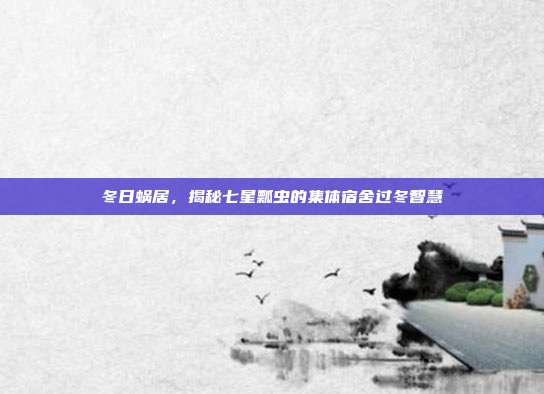 冬日蜗居，揭秘七星瓢虫的集体宿舍过冬智慧