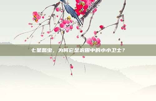 七星瓢虫，为何它是农田中的小小卫士？