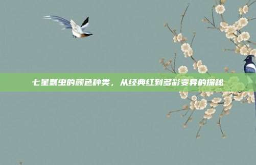 七星瓢虫的颜色种类，从经典红到多彩变异的探秘