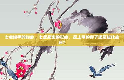 七点铠甲的秘密，七星瓢虫的斑点，是上帝的骰子还是进化密码？