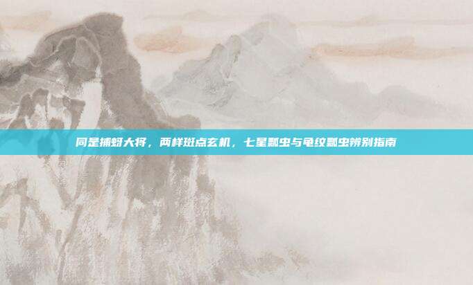同是捕蚜大将，两样斑点玄机，七星瓢虫与龟纹瓢虫辨别指南