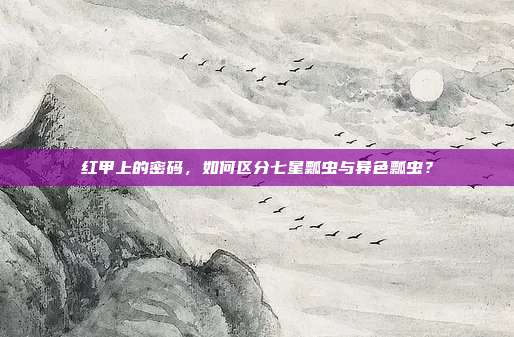 红甲上的密码，如何区分七星瓢虫与异色瓢虫？