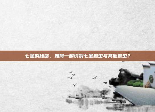 七星的秘密，如何一眼识别七星瓢虫与其他瓢虫？